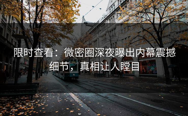 限时查看：微密圈深夜曝出内幕震撼细节，真相让人瞠目