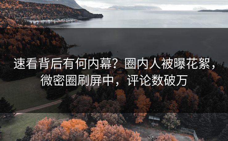 速看背后有何内幕？圈内人被曝花絮，微密圈刷屏中，评论数破万