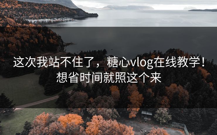 这次我站不住了，糖心vlog在线教学！想省时间就照这个来