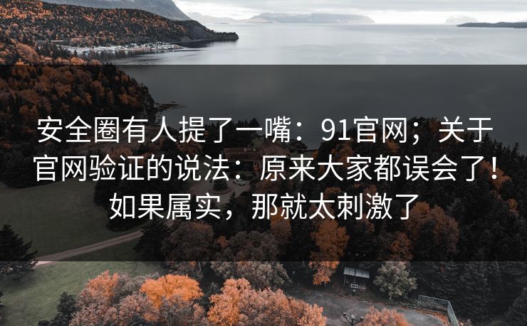 安全圈有人提了一嘴：91官网；关于官网验证的说法：原来大家都误会了！如果属实，那就太刺激了