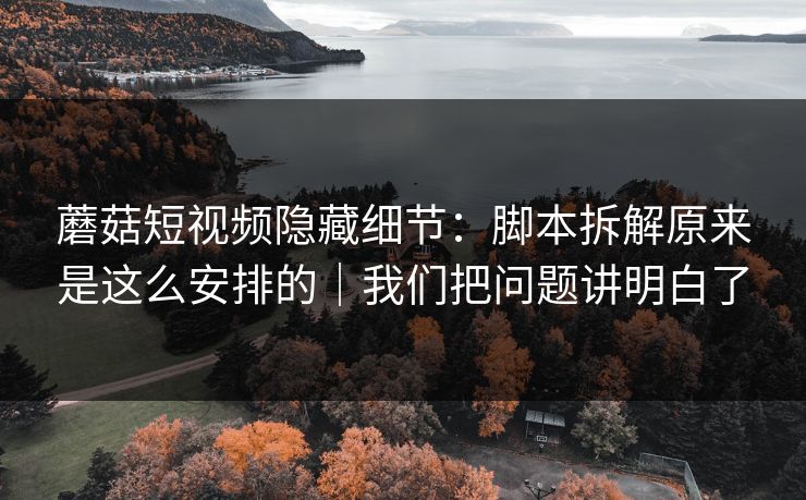 蘑菇短视频隐藏细节：脚本拆解原来是这么安排的｜我们把问题讲明白了