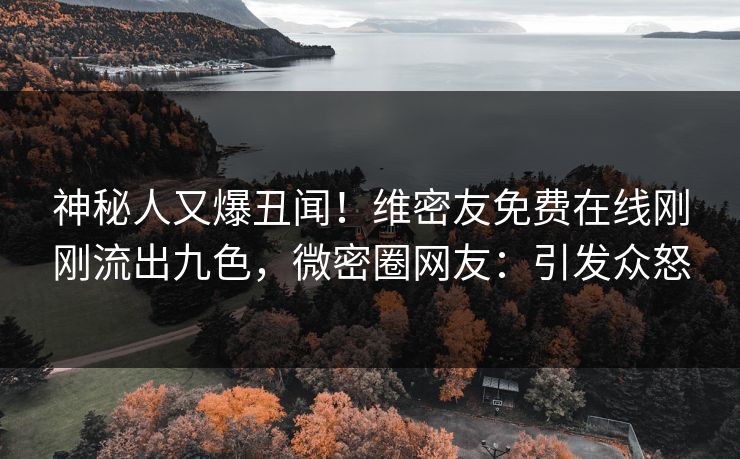 神秘人又爆丑闻！维密友免费在线刚刚流出九色，微密圈网友：引发众怒