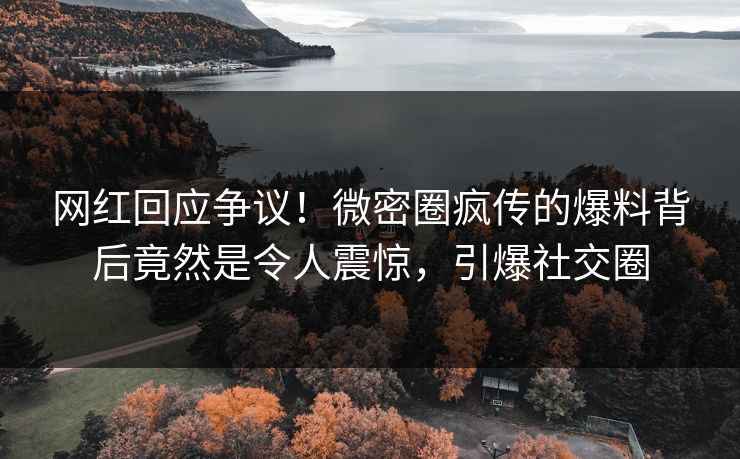 网红回应争议！微密圈疯传的爆料背后竟然是令人震惊，引爆社交圈